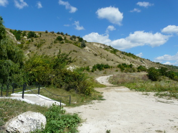 photo 1414821