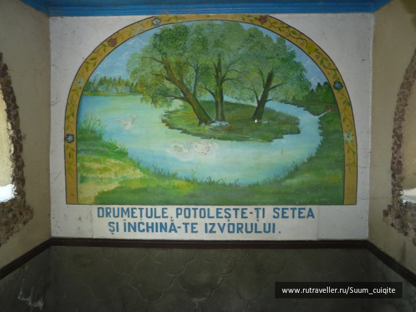 photo 1414824