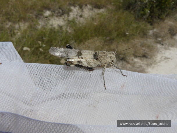 photo 1414828