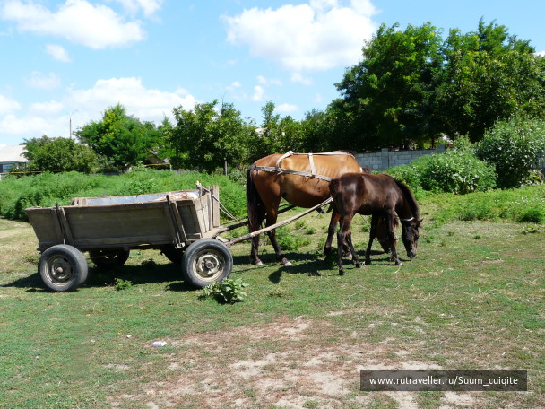 photo 1414841