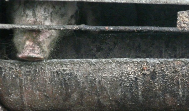 P1310051