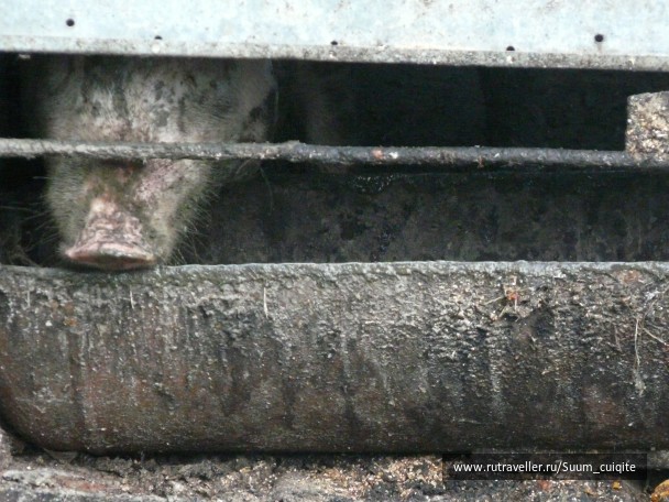 photo 1414846
