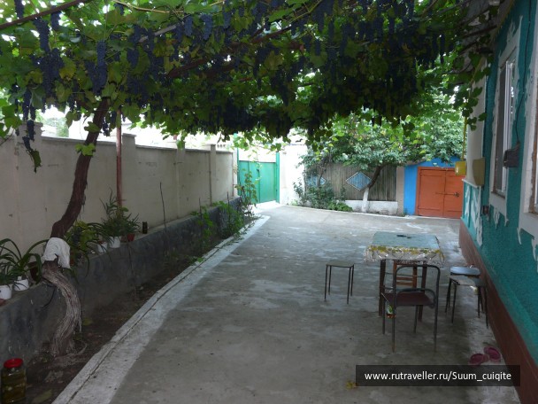 photo 1414849