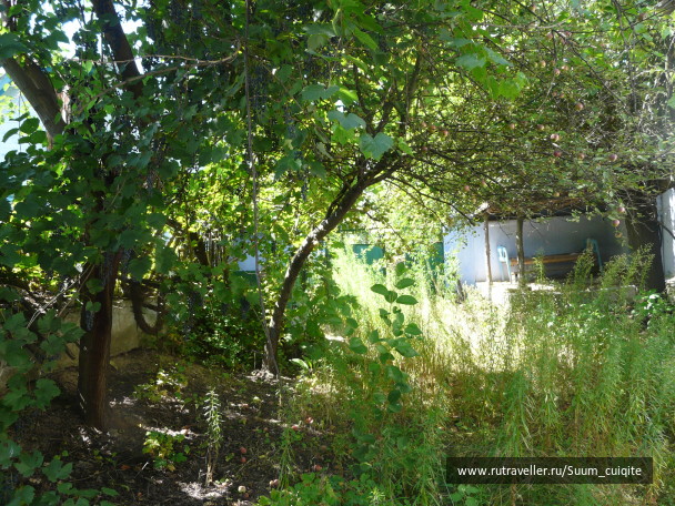 photo 1414854