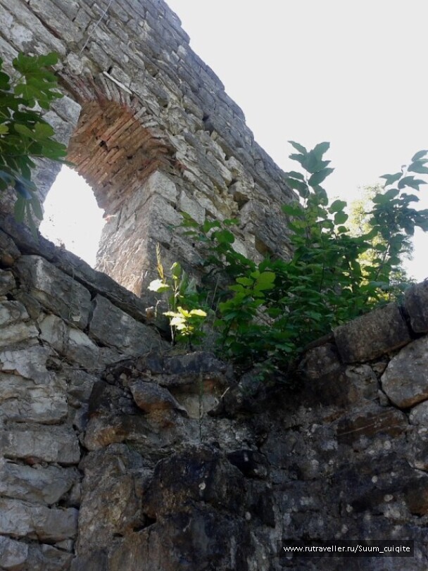 photo 1421914