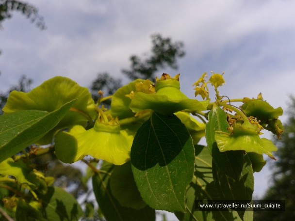 photo 1421937