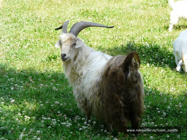 photo 1422001