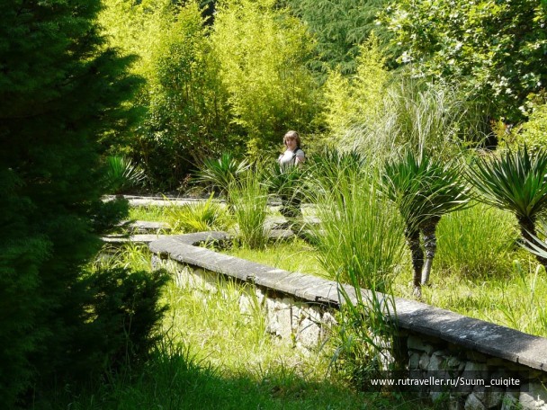 photo 1422003