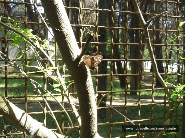 photo 1422010