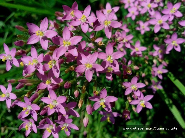 photo 1422012