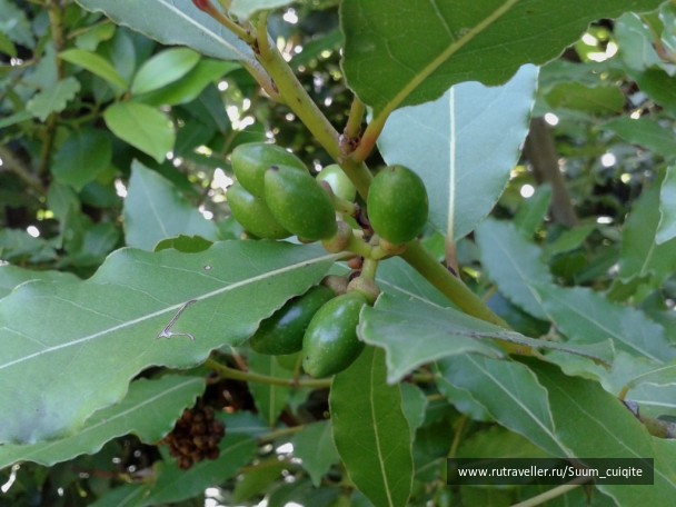photo 1422022