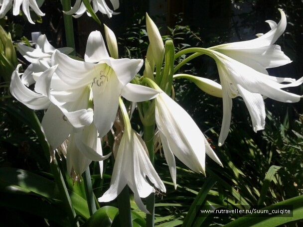 photo 1422024
