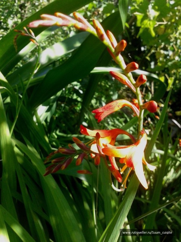 photo 1422025