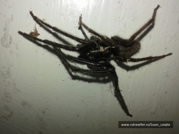 photo 1422026