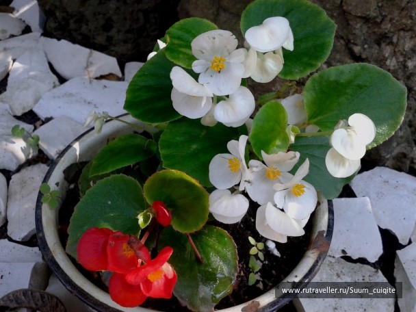 photo 1422033