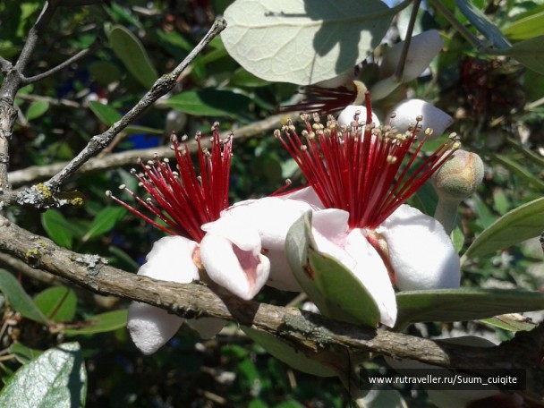 photo 1422034