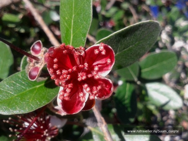 photo 1422041