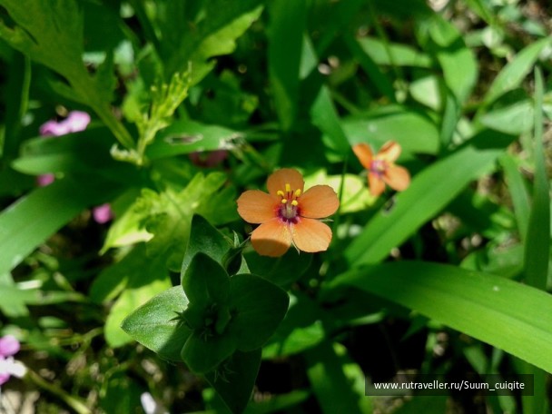 photo 1422045