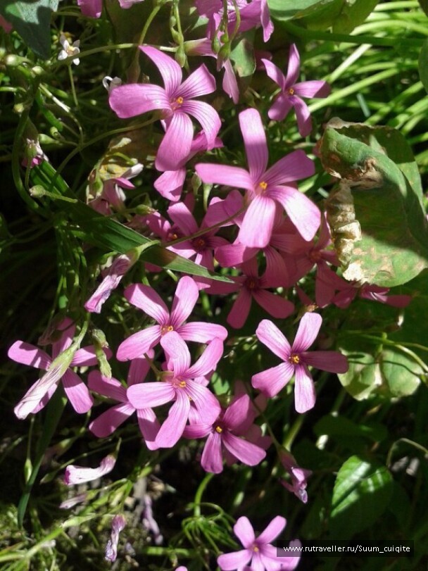 photo 1422046