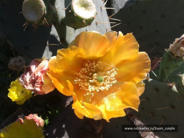 photo 1422051