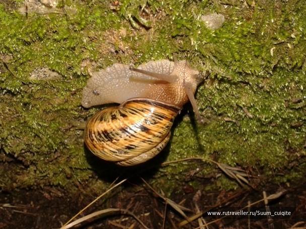 photo 1422053