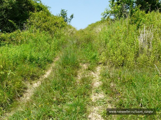 photo 1422057