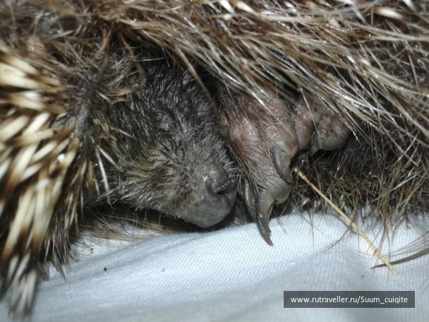 photo 1422061
