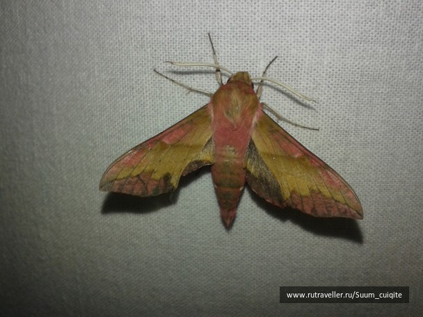 photo 1422063