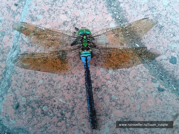 photo 1422101