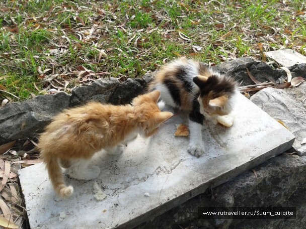 photo 1422109