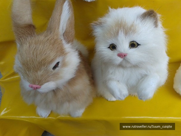photo 1422112