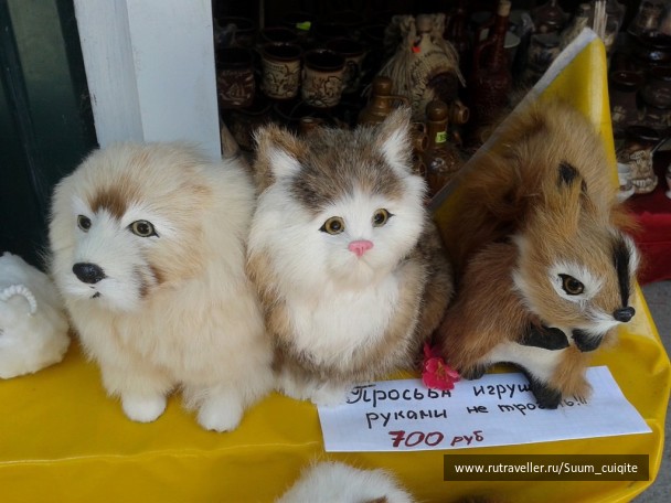 photo 1422113