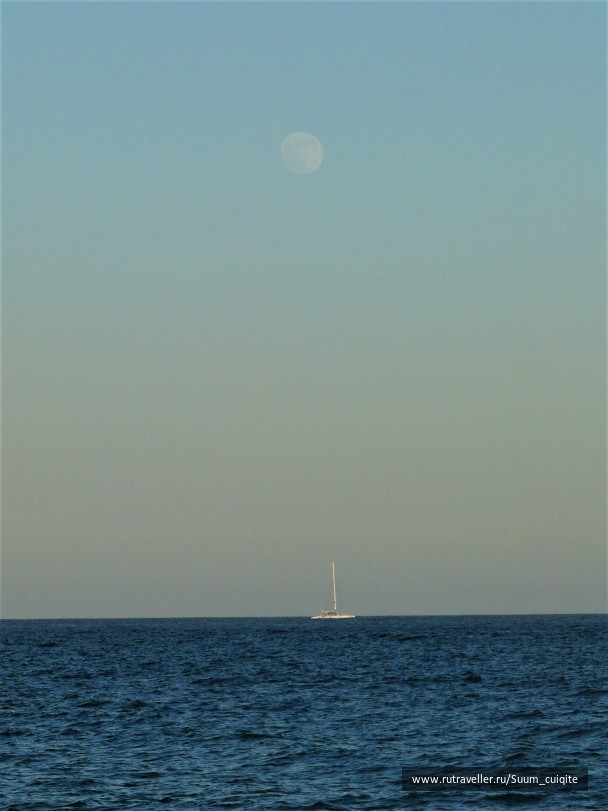 photo 1514816