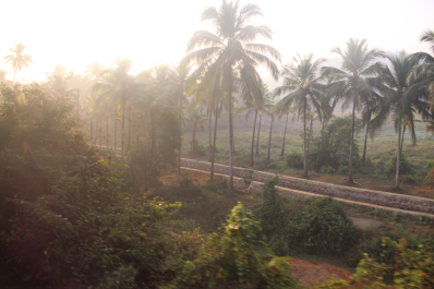 photo 1217014