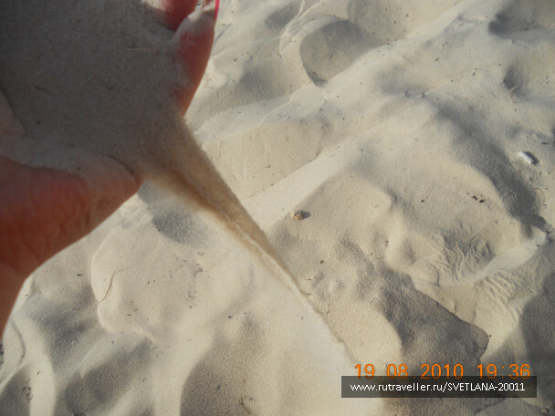photo 25719