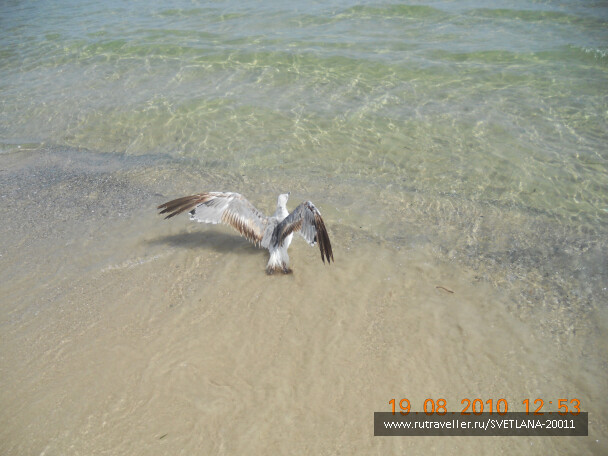 photo 25725