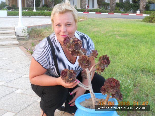photo 25728