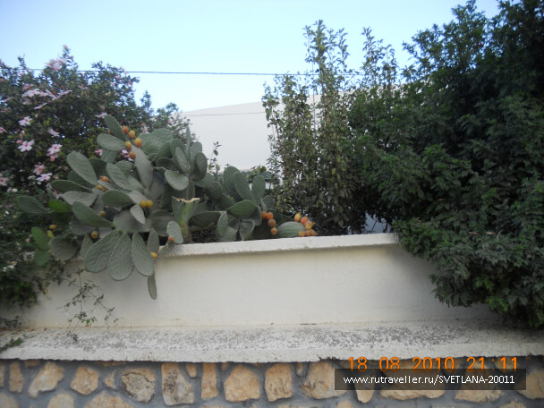 photo 25730