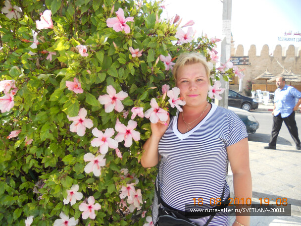 photo 25738
