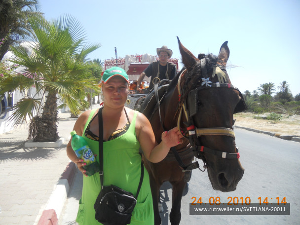 photo 25784