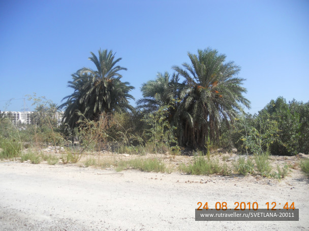 photo 25787