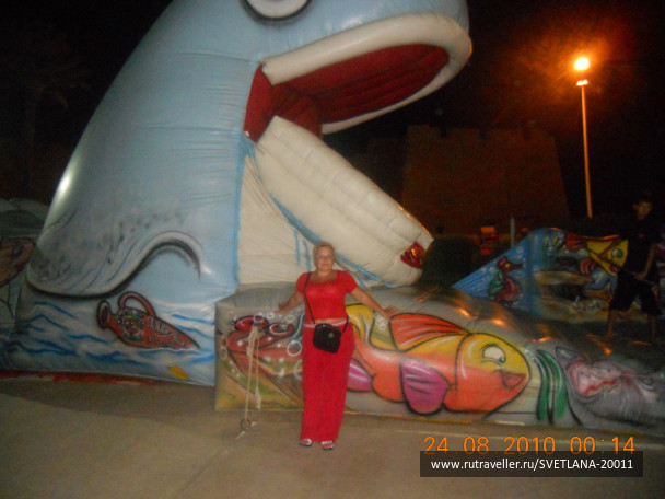 photo 25791