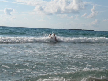 photo 172621