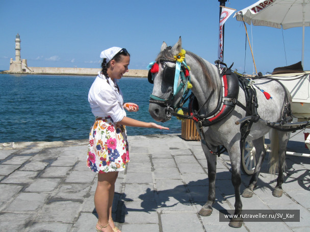 photo 172642