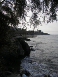 photo 871905