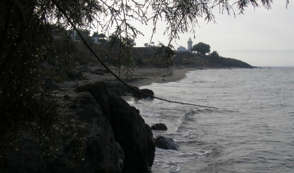 P1018510