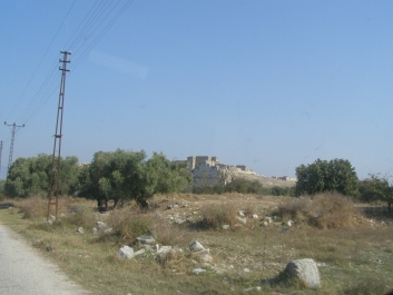 photo 881142