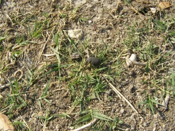 photo 881147