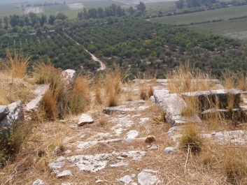photo 885614