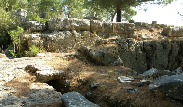 P1010609